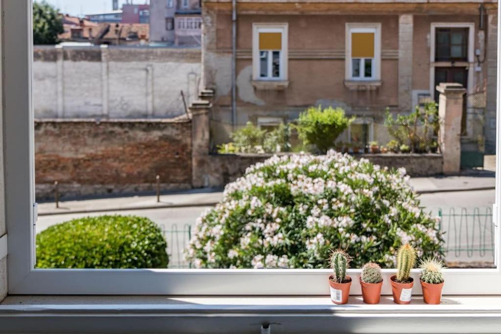 PUY Quirky Apartment Arena With Parking מראה חיצוני תמונה